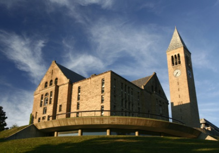 康内尔大学 康内尔大学